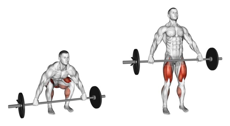 Snatched Back 100+ Top Back Exercises Names (With Images)