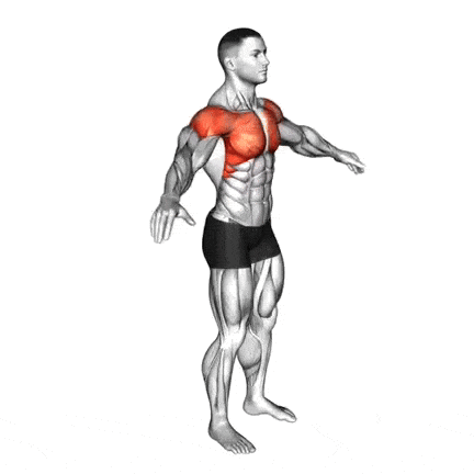 Arm Circles