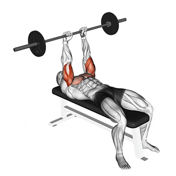 Barbell JM Press