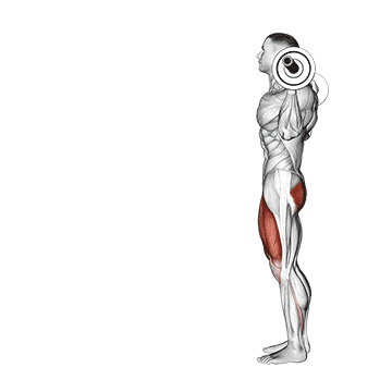 Barbell Split Squat
