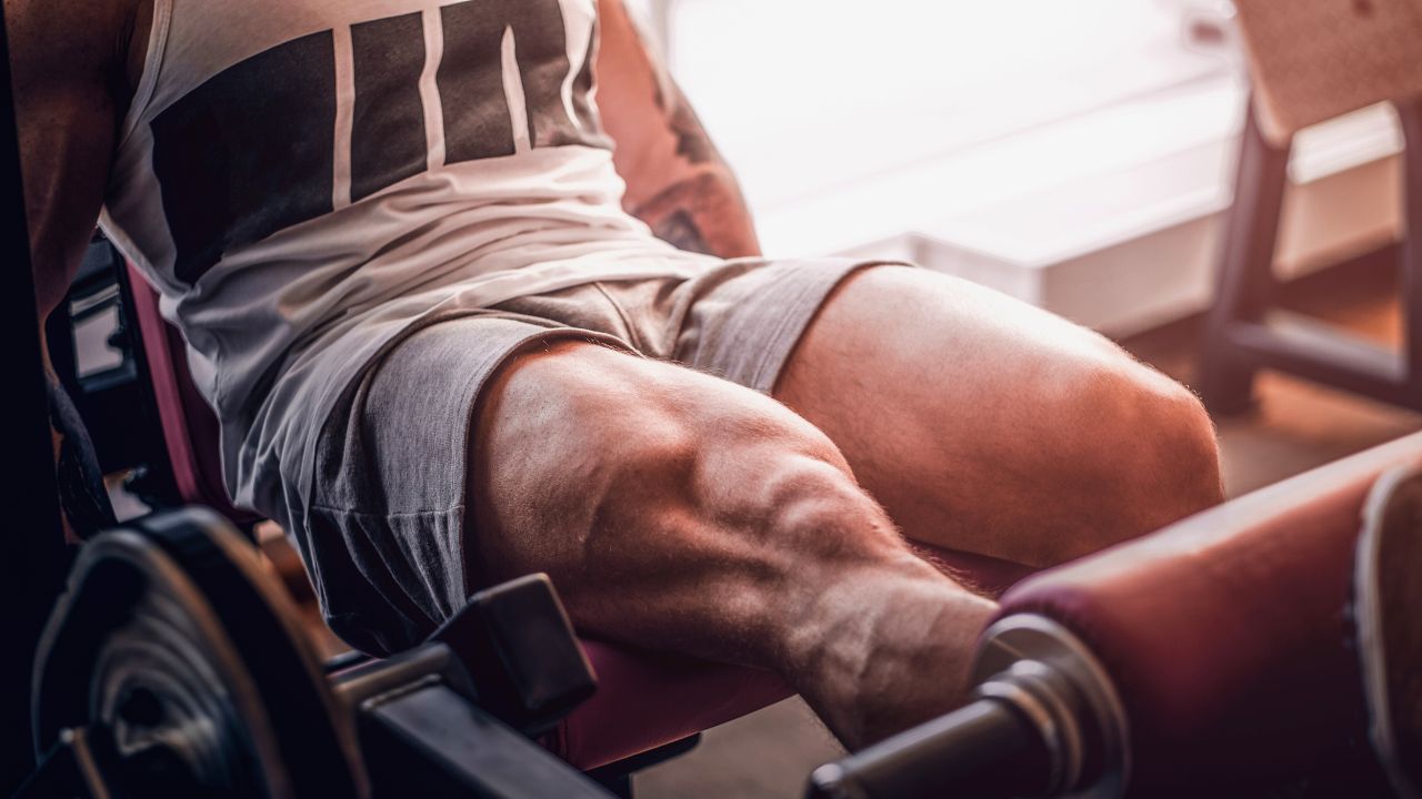 Best Gym Machines For Leg Workout