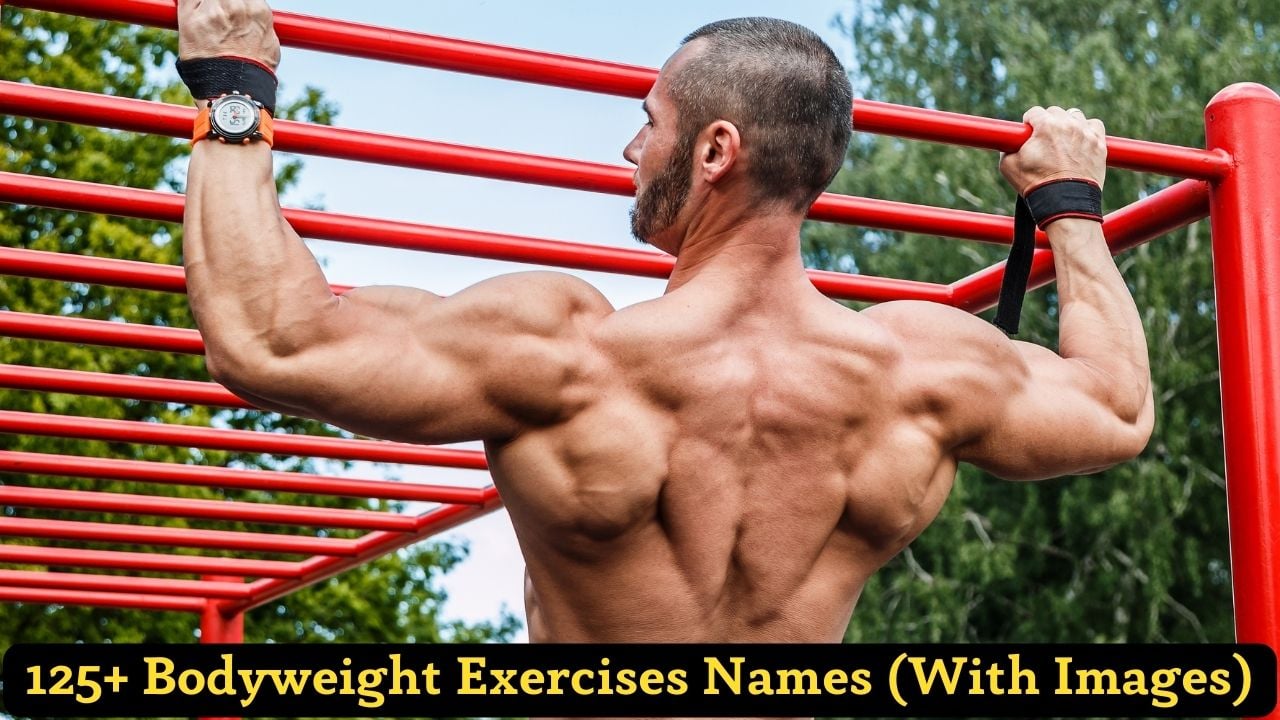 Bodyweight Exercises Names With Images