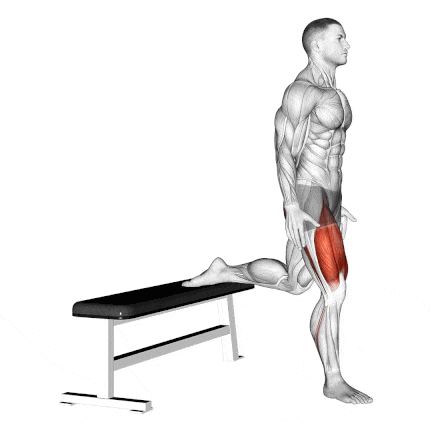 Bulgarian Split Squat