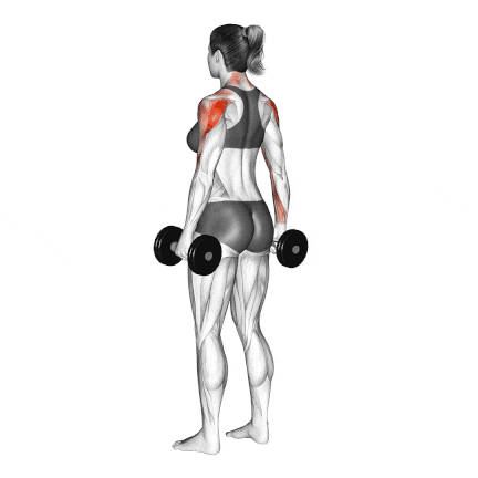 Dumbbell Monkey Row