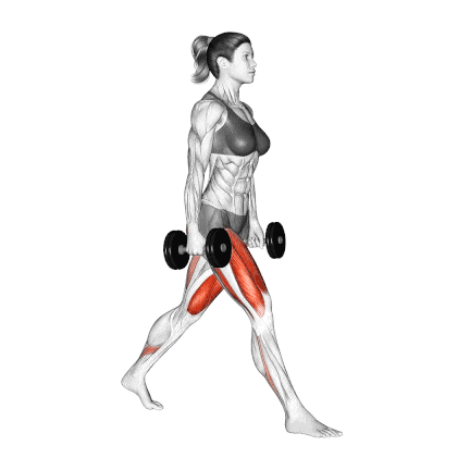 Dumbbell Split Squat