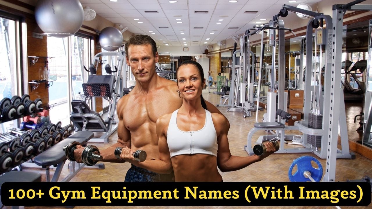 Gym Equipment and Machine Names With Image