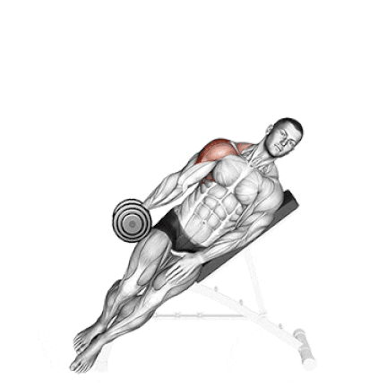 Incline Dumbbell Lateral Raise