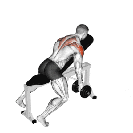 Incline Dumbbell T Raise