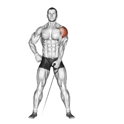 One Arm Cable Lateral Raise
