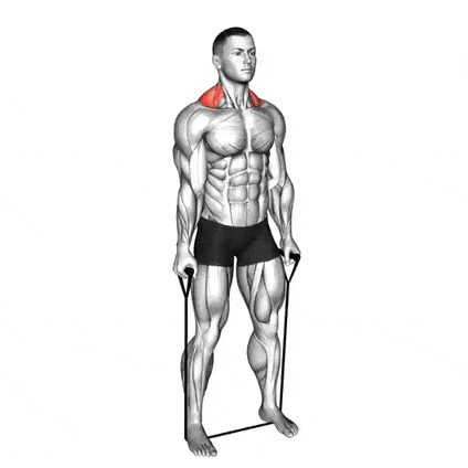 Resistance Band Shrug