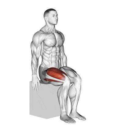 Seated Knee Extension