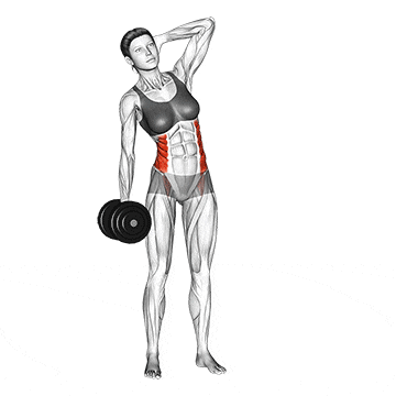 Standing Dumbbell Oblique Crunch