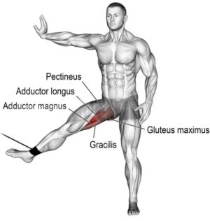 Cable Hip Adduction: Proper Form, Muscles Worked, and Benefits.