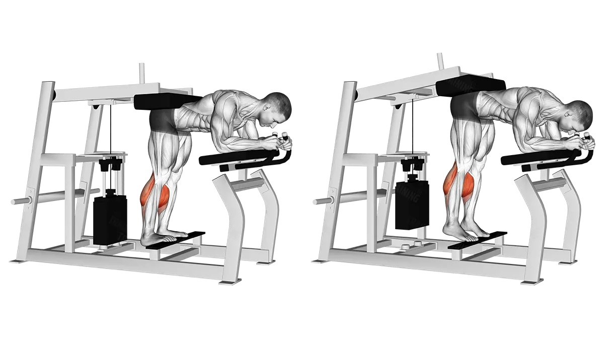 7 Best Gym Machines For Calves (With Calf Raise Exercises)