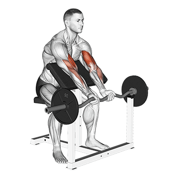 EZ Barbell Close-Grip Preacher Curl