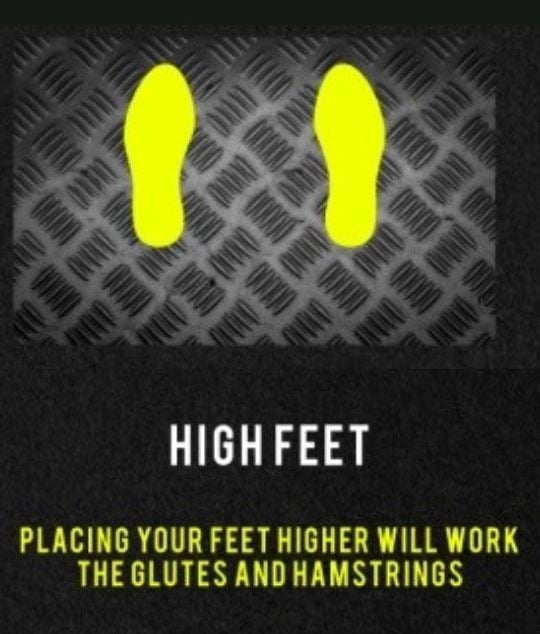 High Foot Placement During Leg Press