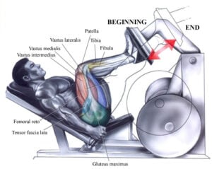Leg Press for Glutes: 5 Simple Tweaks for Maximum Growth