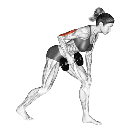 Standing Single Arm Dumbbell kickback