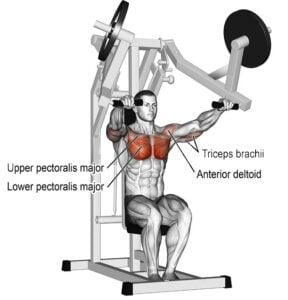 Seated Machine Chest Press: How To Do and Muscles Worked