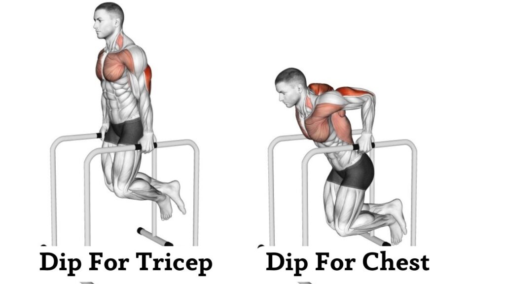 Parallel Bar Dip For Chest or Tricep