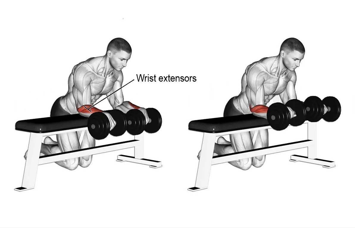 Dumbbell Reverse Wrist Curl