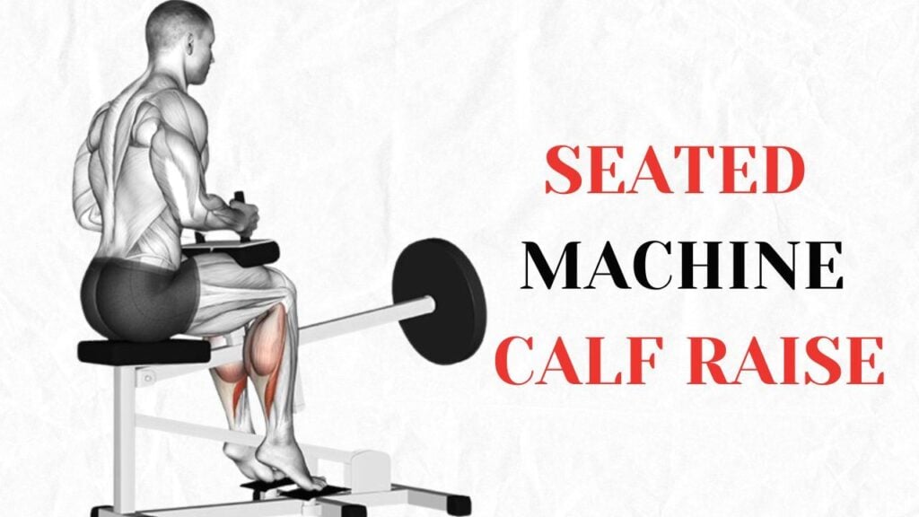 Seated Machine Calf Raise
