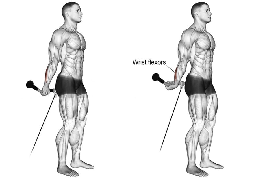 Behind-The-Back Cable Wrist Curl