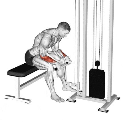 Seated Cable Reverse Wrist Curl