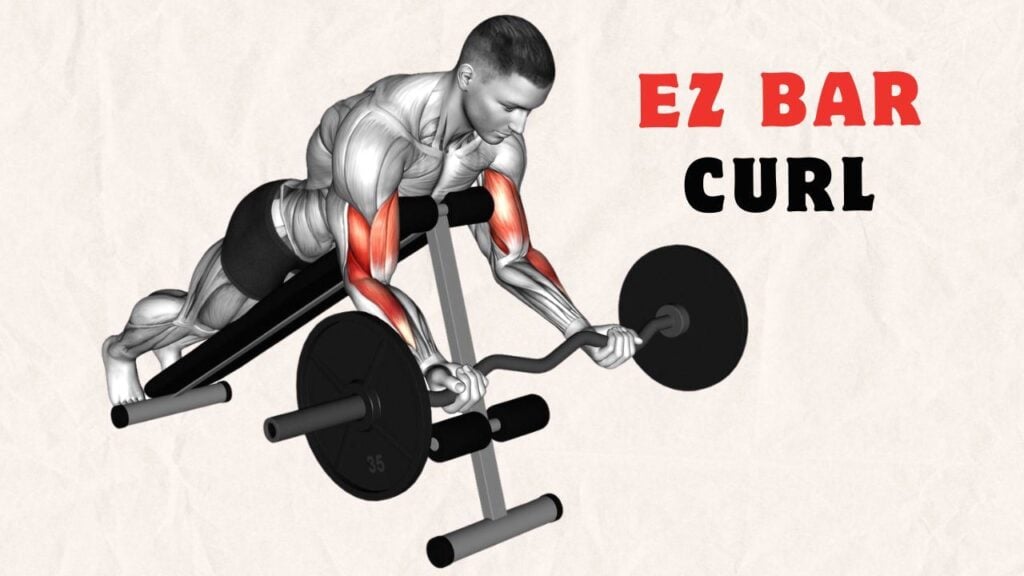 How To Do EZ Bar Spider Curl
