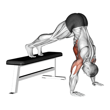 Elevated pike push-up