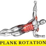 Plank Rotation