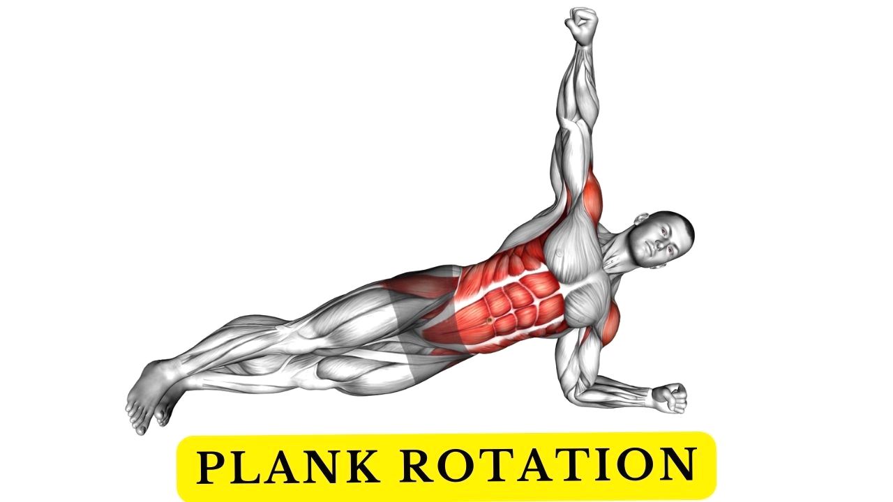 How To Do A Plank Rotation with Variations 