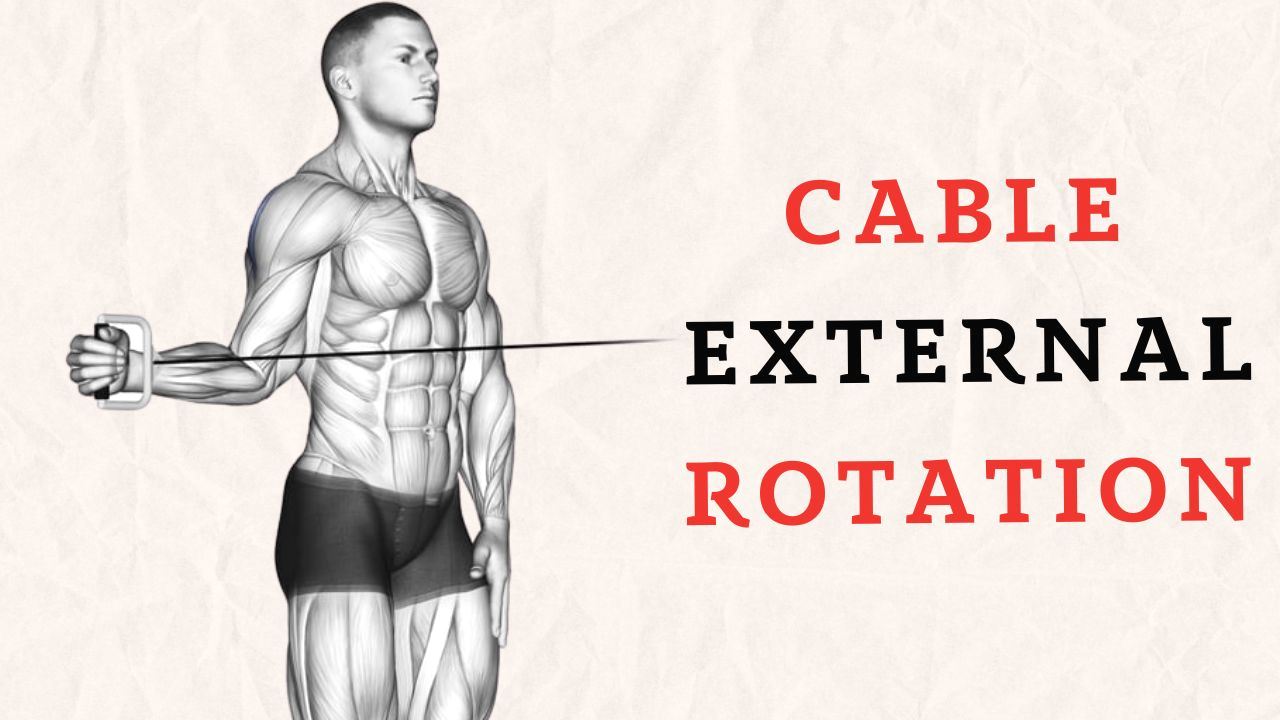 Cable External Rotation