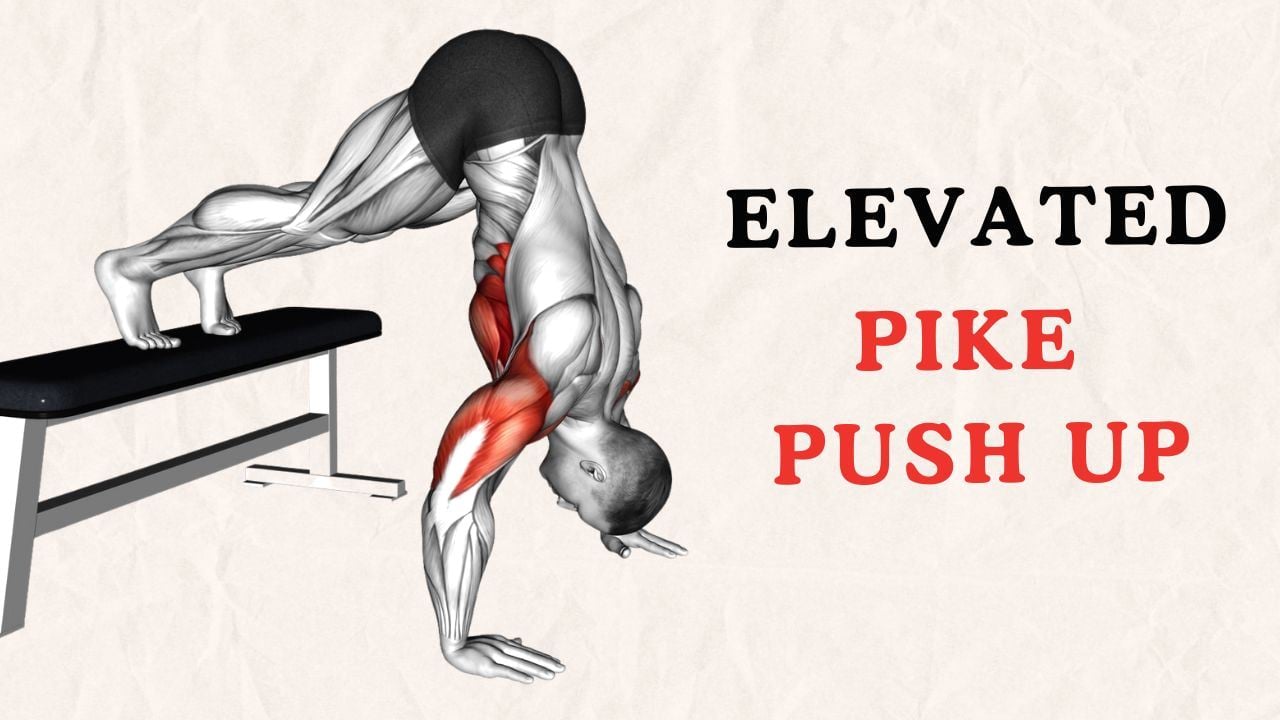 Elevated Pike Push Up