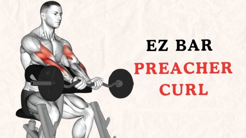 EZ Bar Preacher Curl