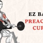 EZ Bar Preacher Curl