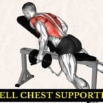 Dumbbell Chest Supported Row