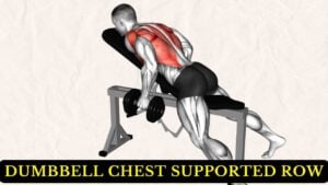 Dumbbell Chest Supported Row