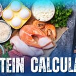 Protein Intake Calculator