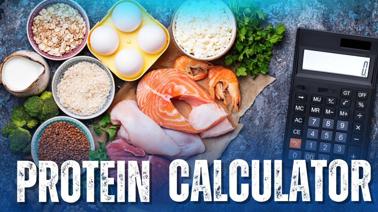 Protein Intake Calculator