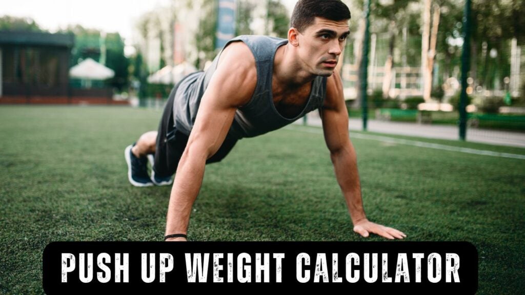 Push Up Weight Calculator