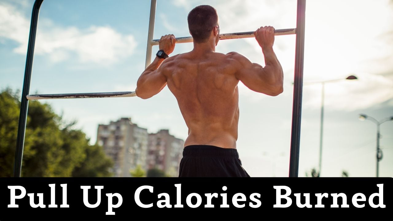 Pull Up Calories Burned