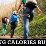 Hiking Calories Burned Calculator