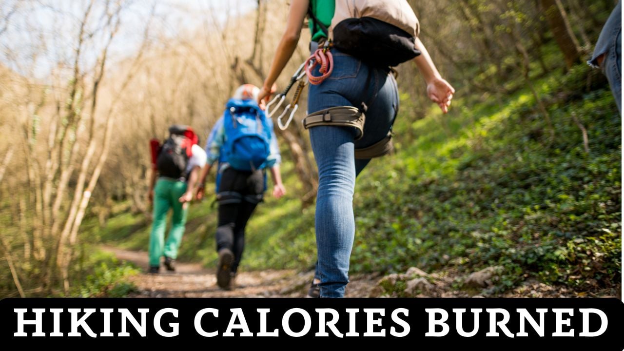 Hiking Calories Burned Calculator