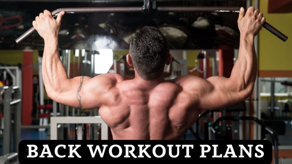 Back Workout Plans