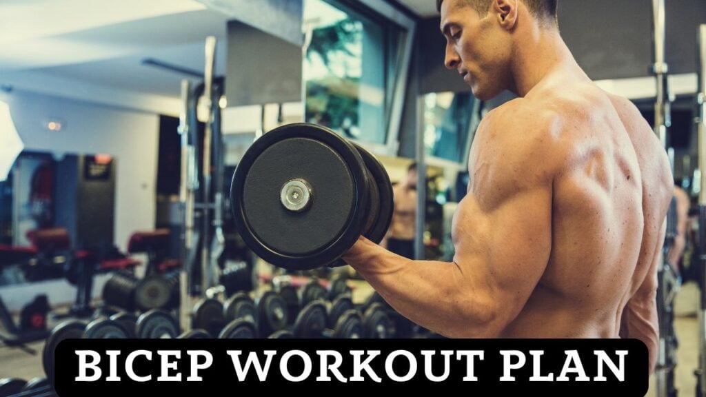 Bicep Workout Plans
