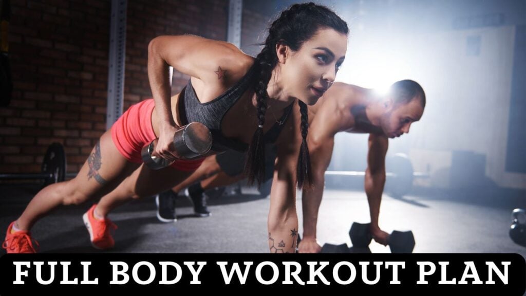 Full Body Workout Plan