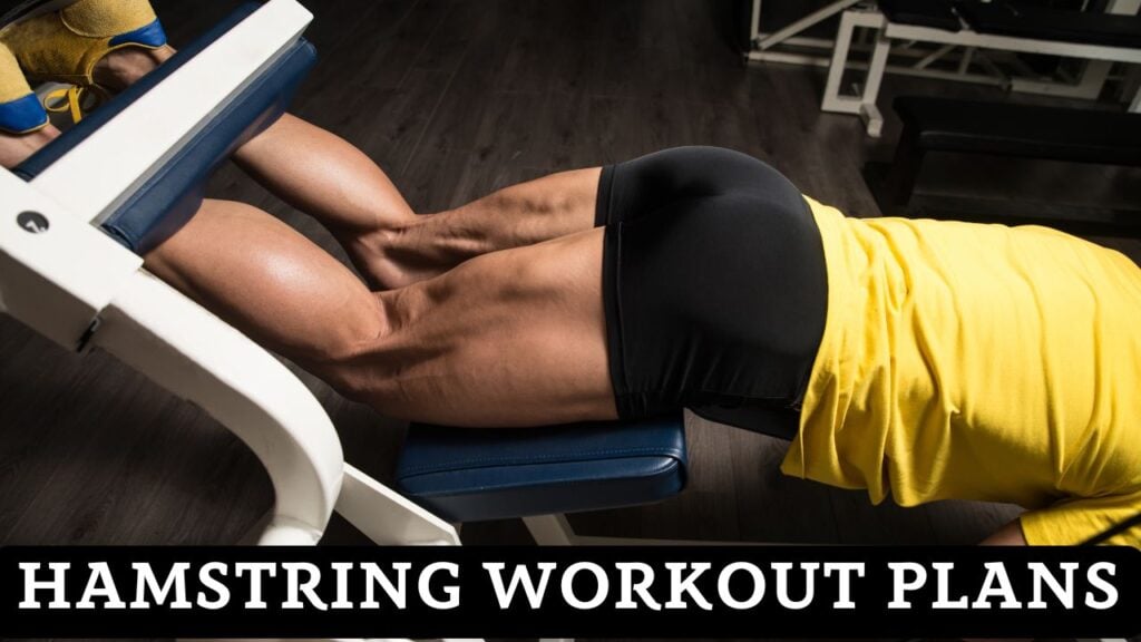 Hamstring Workout Plans