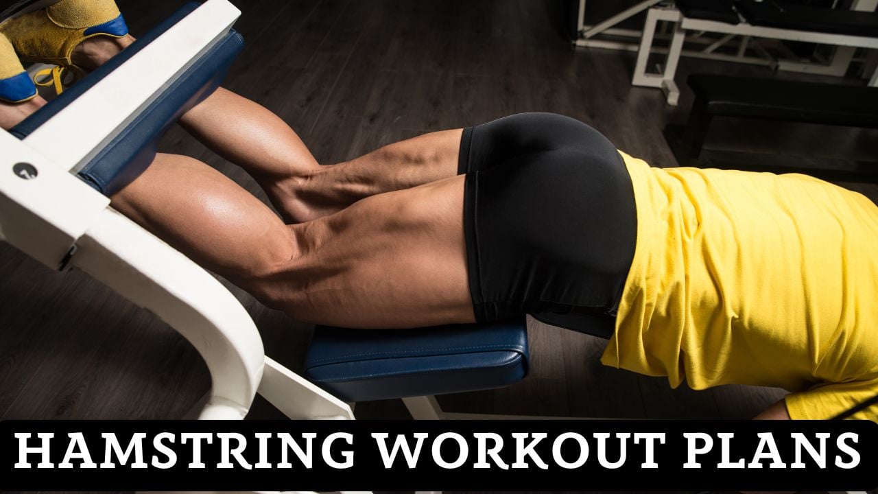 Hamstring Workout Plans