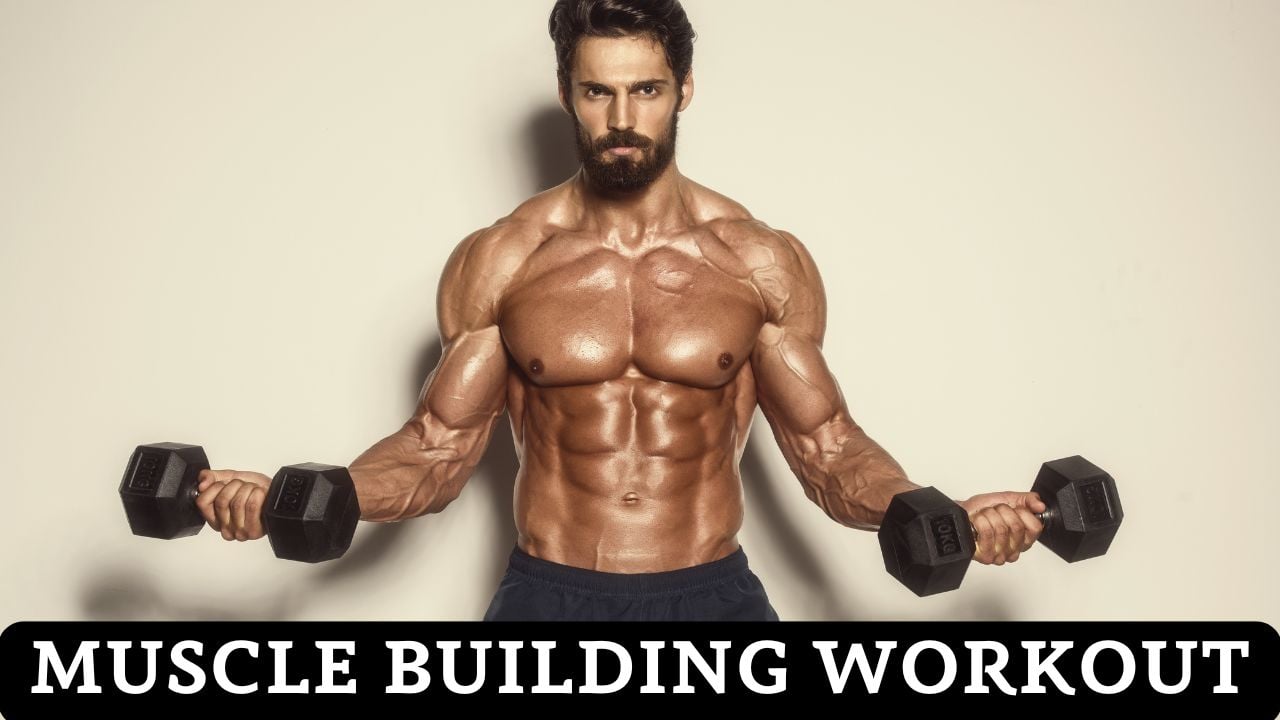 Muscle Building Workout Plan